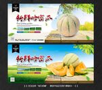 哈密瓜