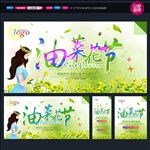 油菜花