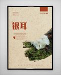 银耳