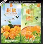 柑橘