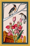 花鸟画