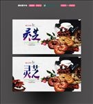 灵芝