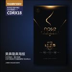 高端简约美鼻隆鼻展板海报