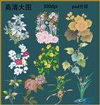 友禅纹