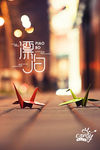 漂泊 千纸鹤