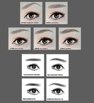 AI逼真纹眉眼睛眉毛矢量图