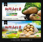 土豆