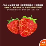 手绘水果卡通水果草莓矢量图