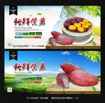 紫薯 红薯