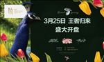 地产 开盘 桁架 背景 豪宅