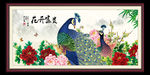 富贵牡丹