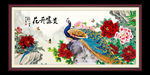 富贵牡丹