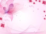 梦幻玫瑰花