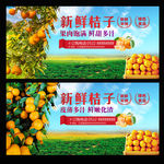 新鲜桔子