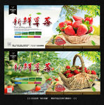 草莓