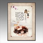 中药展板