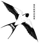 燕子