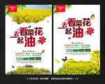 油菜花