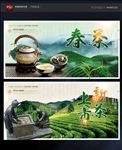 春茶 新茶上市