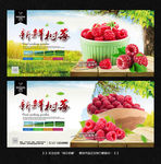 树莓