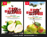 香梨