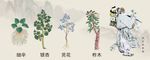 中药图谱