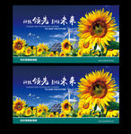 向日葵