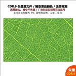 精美手绘树叶背景叶脉背景图