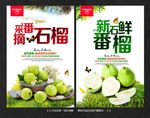 番石榴