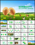 绿色生态养殖鸡蛋加工养鸡PPT