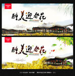 迎春花