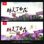 丁香花