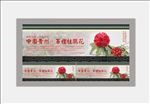 杜鹃花