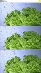 水滴绿色蔬菜