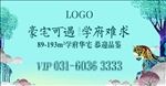马户外