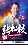 张松枝海报