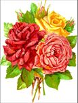 玫瑰花矢量图