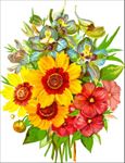 花朵矢量图