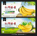 香蕉