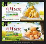 枇杷