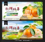 橘子 桔子
