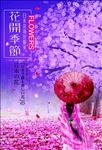 樱花节