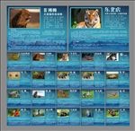 动物名片