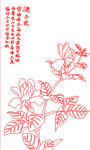 玉兰花鸟矢量线条图