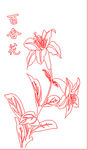 百合花矢量线条图