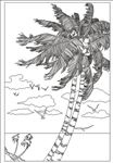 椰子树