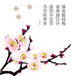 国画梅花