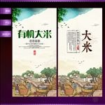 大米