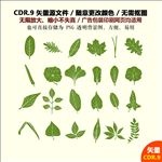 手绘卡通树叶树枝矢量图