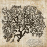 珊瑚欧美装饰画